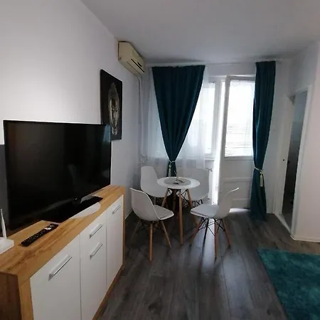 Apartment Bega Circumvalatiunii 1 *